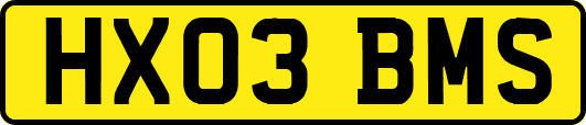 HX03BMS