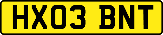HX03BNT