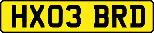 HX03BRD