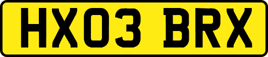 HX03BRX