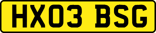 HX03BSG