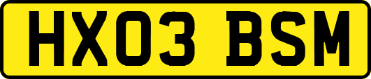 HX03BSM