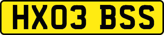 HX03BSS