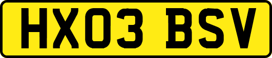 HX03BSV