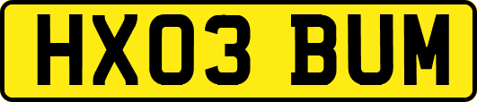 HX03BUM