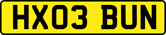 HX03BUN