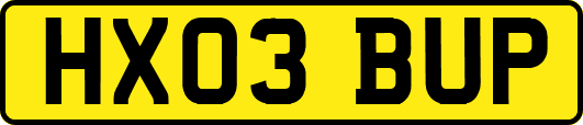 HX03BUP