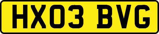 HX03BVG