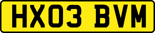 HX03BVM
