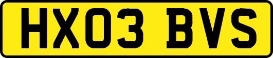HX03BVS