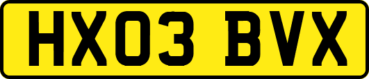 HX03BVX