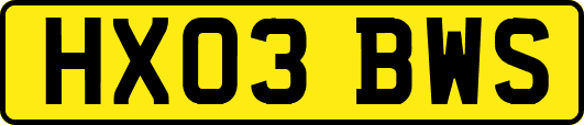 HX03BWS