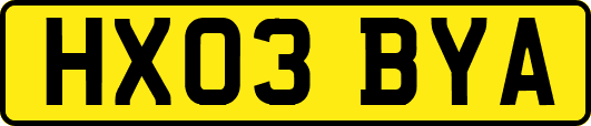 HX03BYA