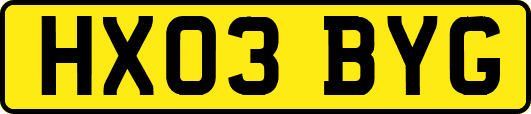 HX03BYG