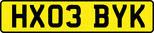 HX03BYK
