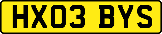 HX03BYS