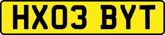 HX03BYT