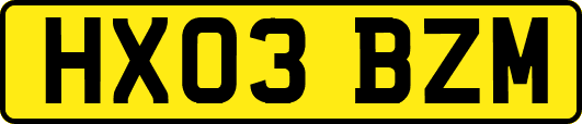 HX03BZM