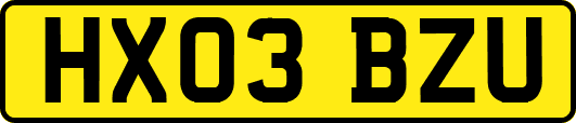HX03BZU