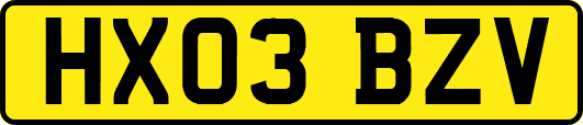 HX03BZV