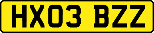 HX03BZZ
