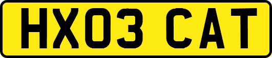 HX03CAT