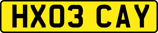 HX03CAY