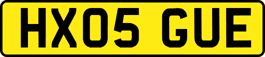 HX05GUE