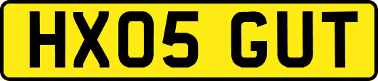 HX05GUT