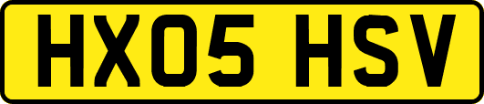 HX05HSV