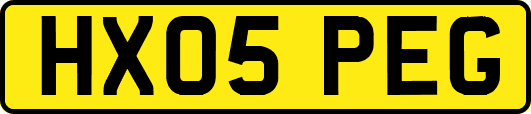 HX05PEG
