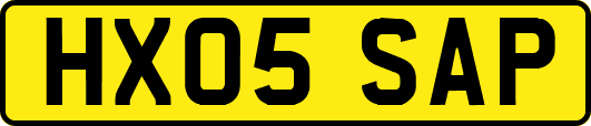 HX05SAP