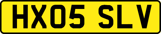 HX05SLV