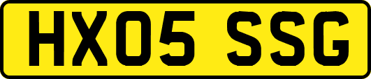 HX05SSG