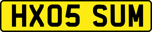 HX05SUM