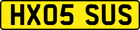 HX05SUS