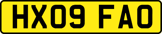 HX09FAO