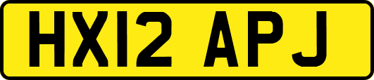 HX12APJ