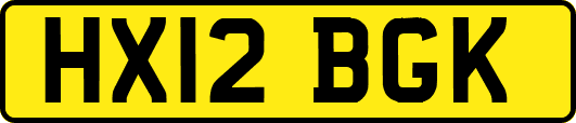 HX12BGK
