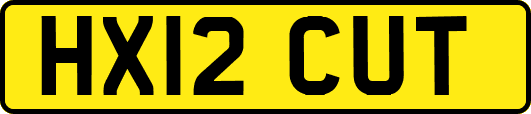 HX12CUT