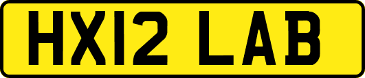 HX12LAB