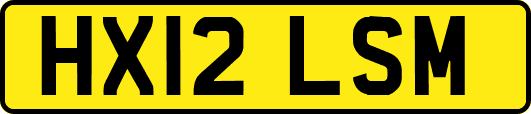 HX12LSM