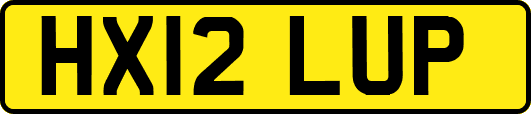 HX12LUP