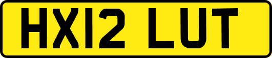 HX12LUT