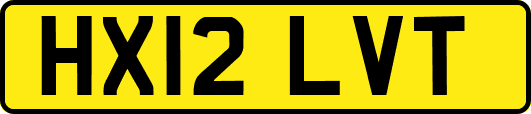 HX12LVT