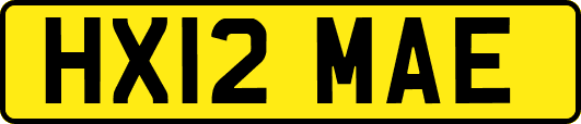HX12MAE