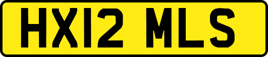 HX12MLS