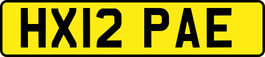 HX12PAE
