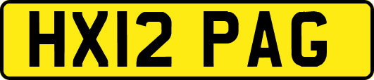 HX12PAG