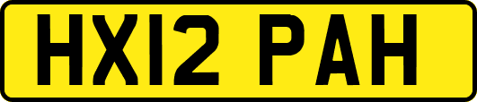 HX12PAH
